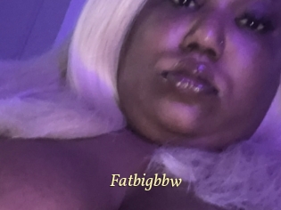 Fatbigbbw