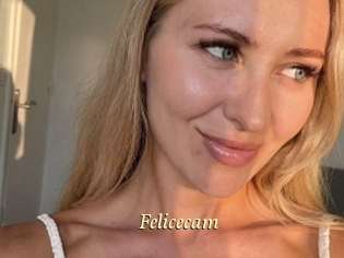 Felicecam