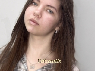 Felicecatts