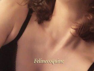 Felinecoquine