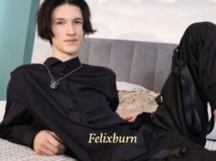 Felixburn
