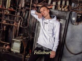Felixburt