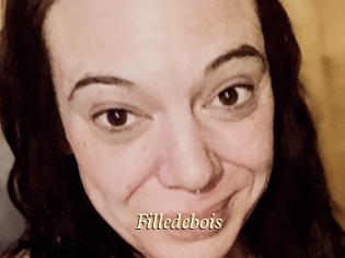Filledebois