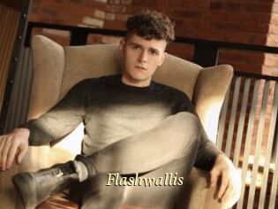 Flashwallis
