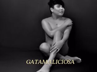 GATAMALICIOSA