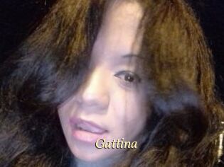 Gattina