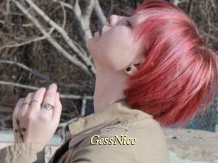 GessNice