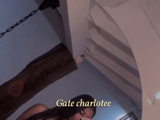 Gate_charlotee