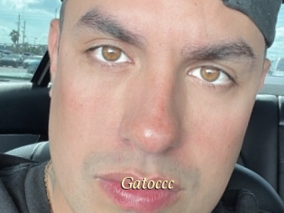 Gatoccc