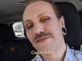 Gatorcatnb