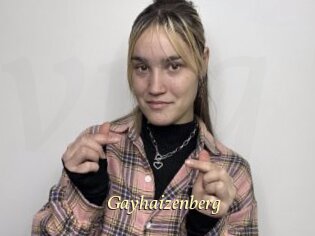 Gayhaizenberg