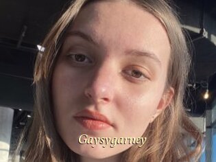 Gaysygarney