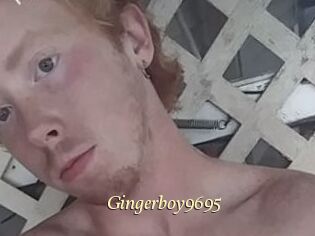 Gingerboy9695