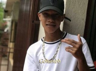 Gohanbb