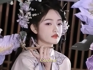 Guohui