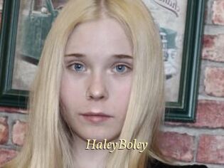 HaleyBoley