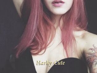 Harley_Cute