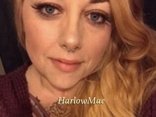 HarlowMae
