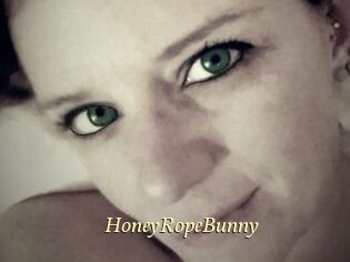 HoneyRopeBunny