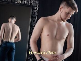 Howard_Stein