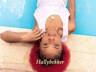 Hallybekker