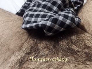 Hammercockk99