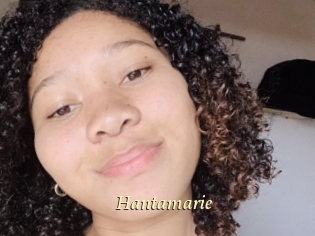 Hantamarie