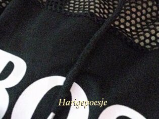 Harigepoesje