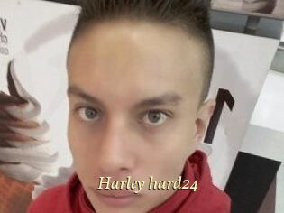 Harley_hard24