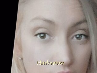 Harlowrose