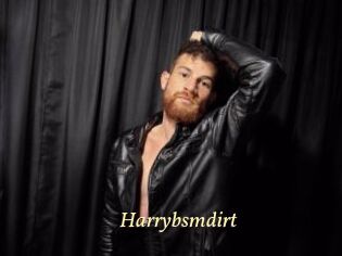Harrybsmdirt