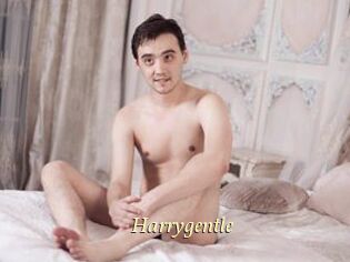 Harrygentle