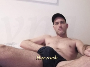 harvrush Vidéo porno gratuite