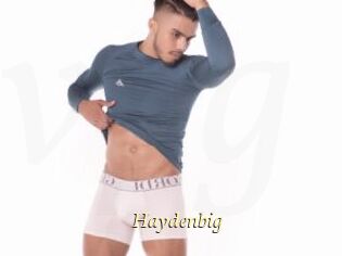 Haydenbig