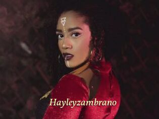 Hayleyzambrano