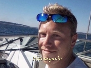Herouxgavin