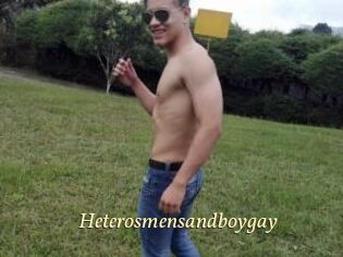 Heterosmensandboygay