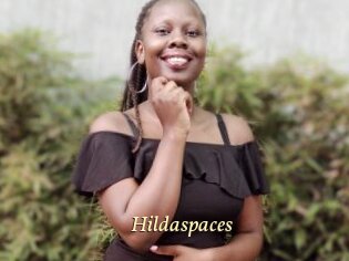 Hildaspaces