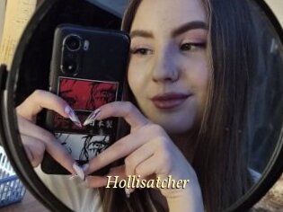 Hollisatcher