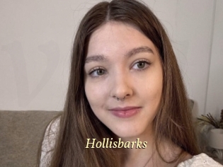 Hollisbarks