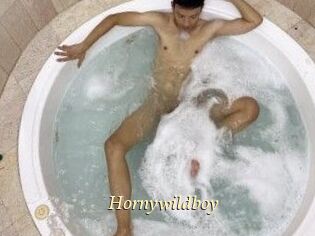 Hornywildboy