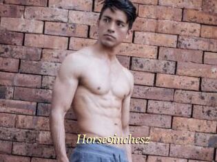 Horse9inchesz