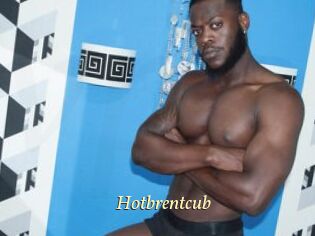 Hotbrentcub
