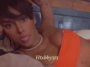 Htxbby313