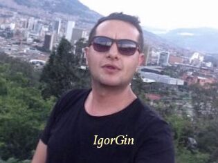 IgorGin
