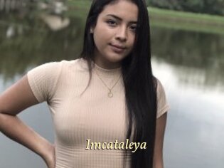 Imcataleya