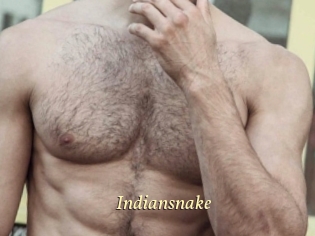 indiansnake Vidéo porno gratuite