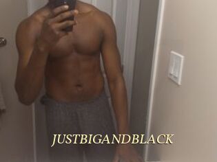 JUSTBIGANDBLACK