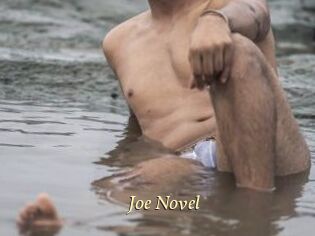 Joe_Novel