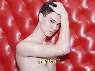 JoeyB0Y